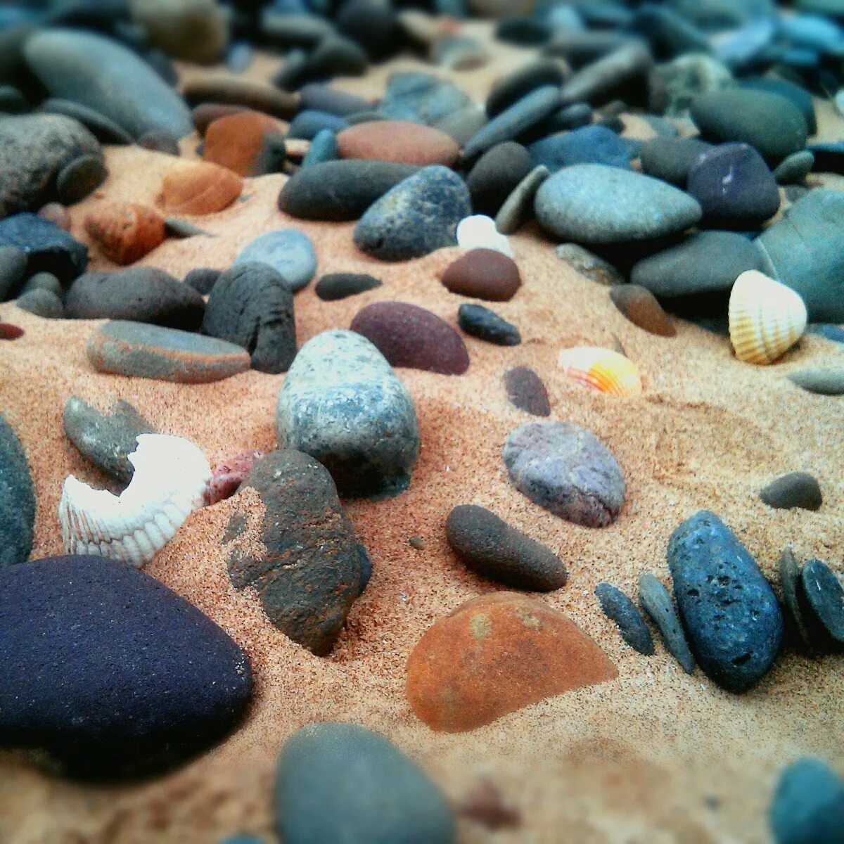 Галька виды. Галечник камень. Галька Черноморская. Камешки на берегу моря. Красивые морские камни.