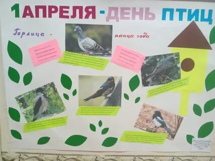 День птиц материалы