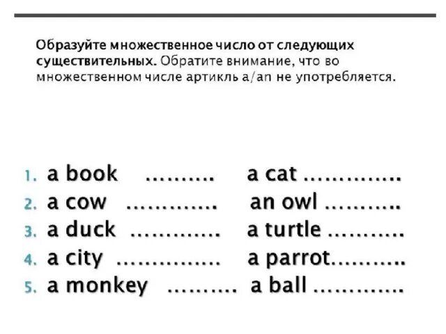 Множественное число слова точка. Упражнения на множественное число в английском языке для 2 класса. Множественное число существительных в английском 2 класс упражнения. Class множественное число в английском языке. Мн число существительных в английском языке упражнения.