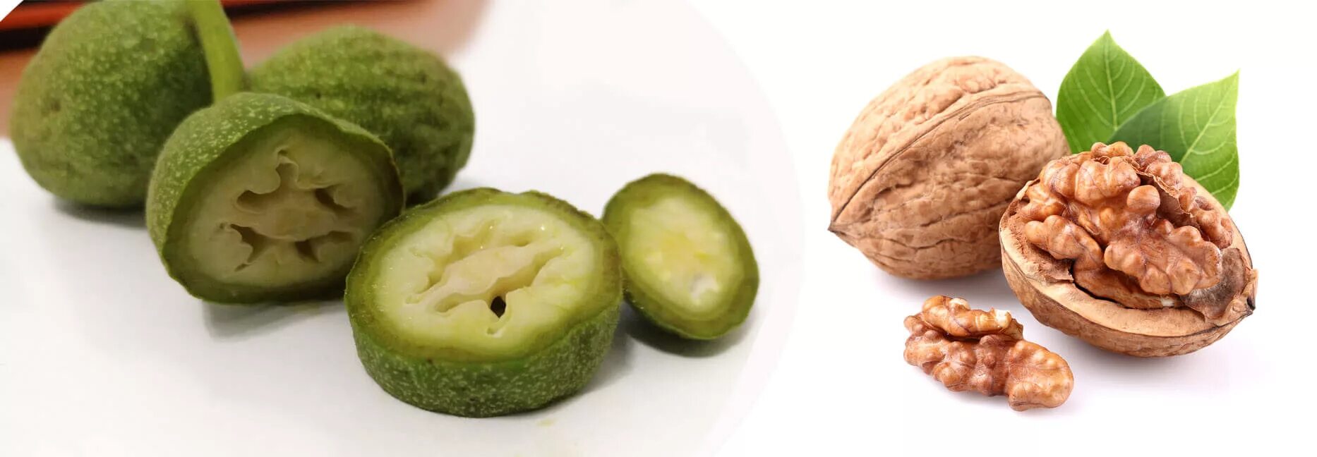 Ревиоронум с зеленым грецким купить. Зеленый орех. Грецкий орех зеленый. Орехи в зеленой кожуре. Маленькие зеленые орешки.