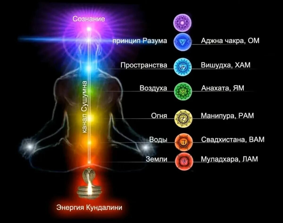 Центр энергии. Чакры человека их расположение и названия. энергетические центры человека чакры. сакральная чакра. энергоцентры человека чакры.