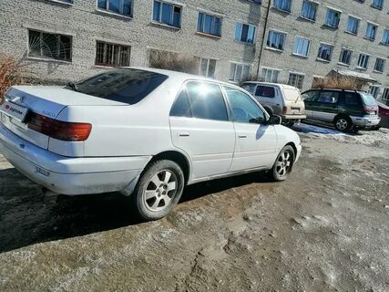Корона премио 98 года