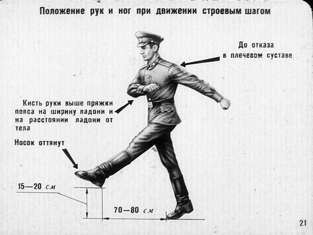 Строевой шаг. Строевой и походный шаг. Как ходить строевым шагом. Как правильно маршировать строевым шагом. Шагают как опустив головы в предложении является