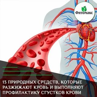 Разжижать сосуды