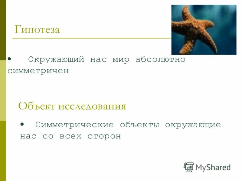 Окружающее предположение. Проект влияние противогололедных реагентов на растительность. Гипотеза экологические проблемы. Гипотеза исследования загрязнение воды. Гипотеза проекта экологические проблемы.