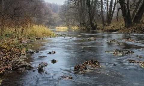 Река вашана