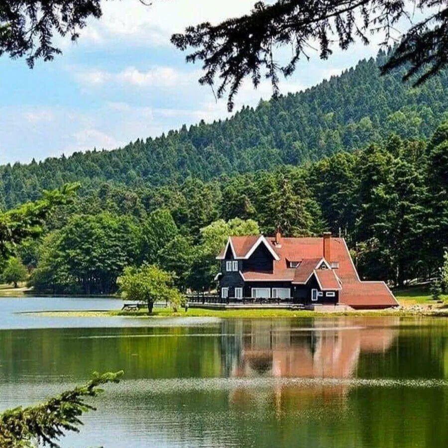 Дома видео на природе. Дом у реки (River Cottage). Домик лесника около озера Выштынецком озере. Хижина штата Мэн. Домик у озера.