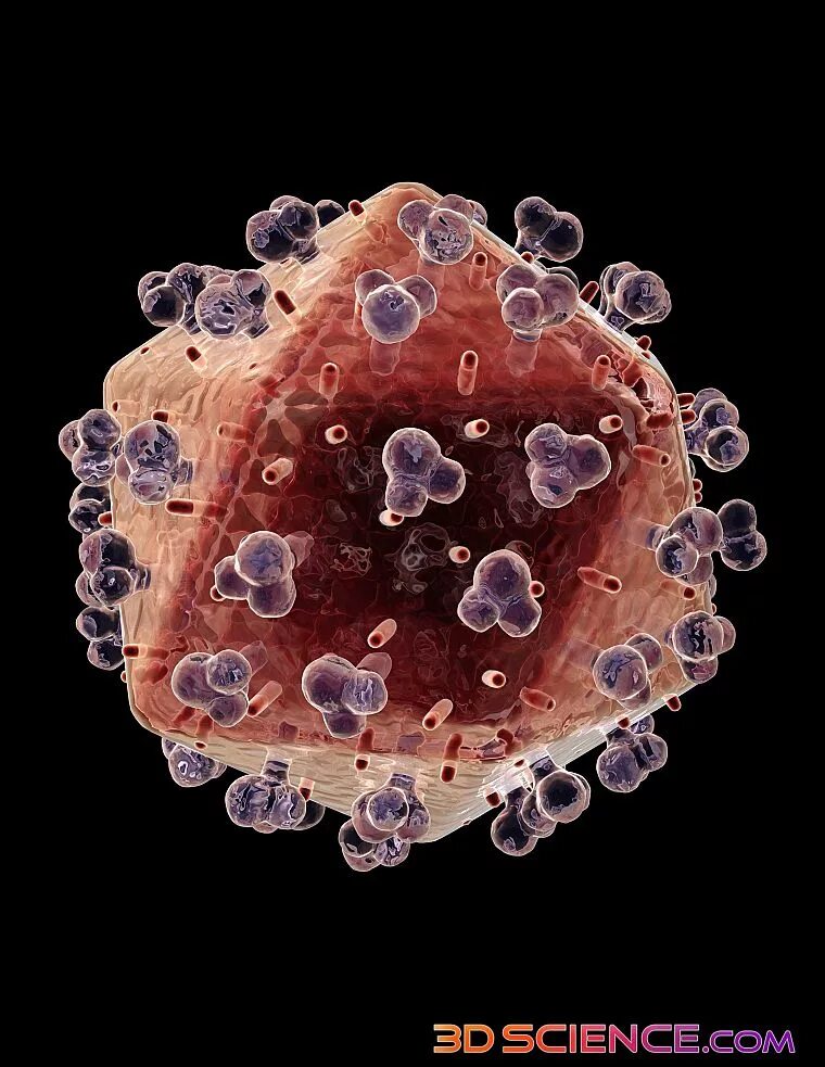 Вирус иммунодефицита человека. Вирус ВИЧ. СПИД под микроскопом.