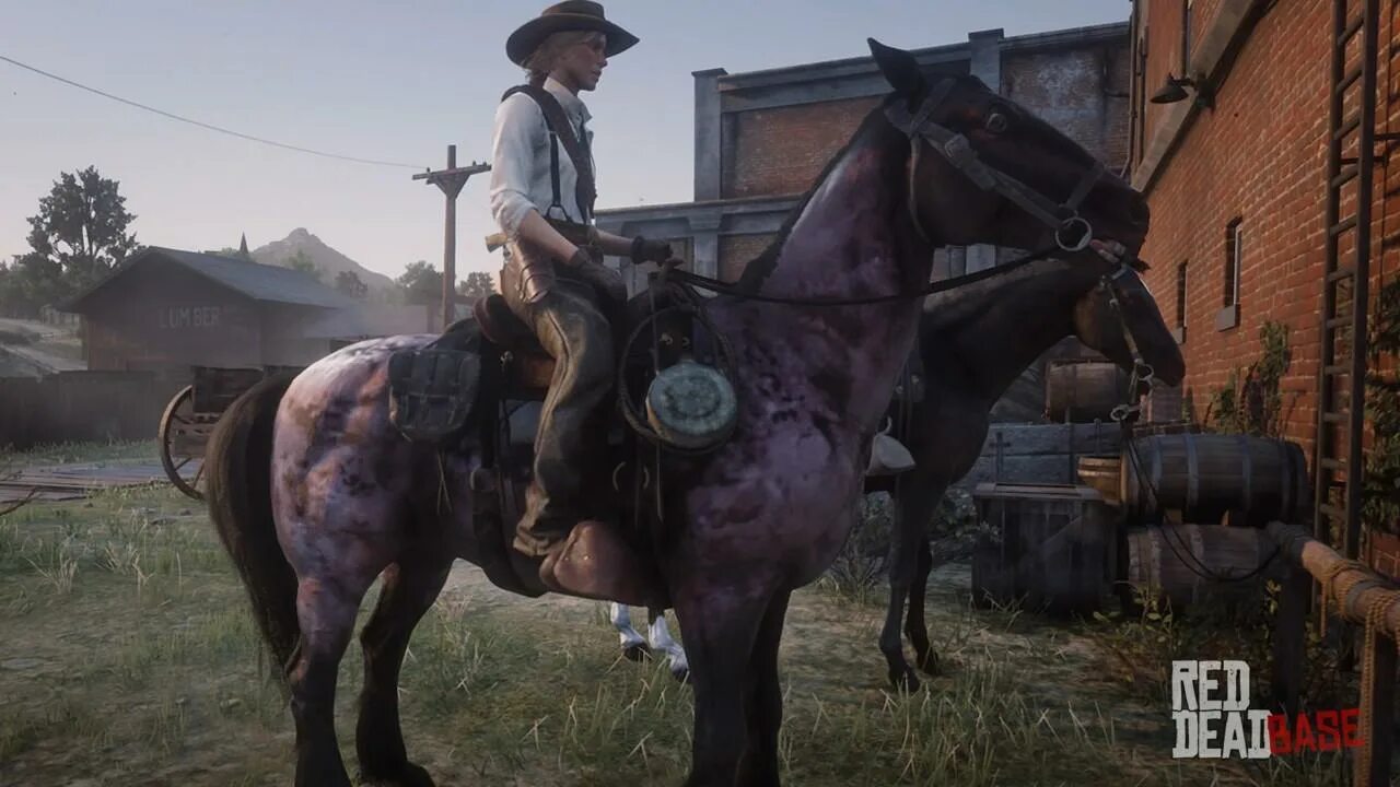 Мустанг рдр. Red Dead Redemption 2 Мустанг. Сэди Адлер Red Dead Redemption 2. Андалузская Red Dead Redemption. Red Dead Redemption 2 Андалузская лошадь.