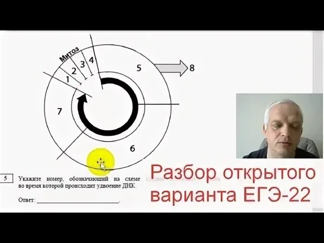 Разбор открытый