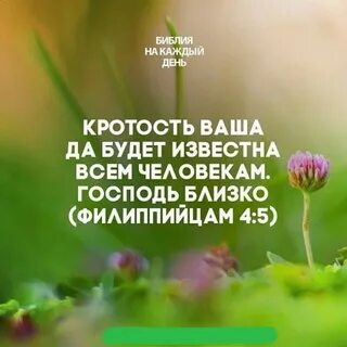 Кротость это 1 класс литературное чтение
