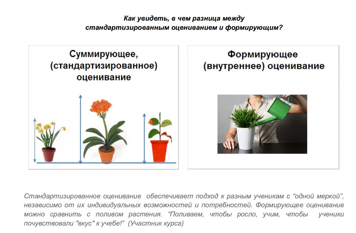 Какое определение корректно отражает понятие формирующее оценивание. Формирующее и суммирующее оценивание. Формирующее оценивание цветы. Суммирующее и Формирующее оценивание сравнение. Формирующее оценивание картинки.