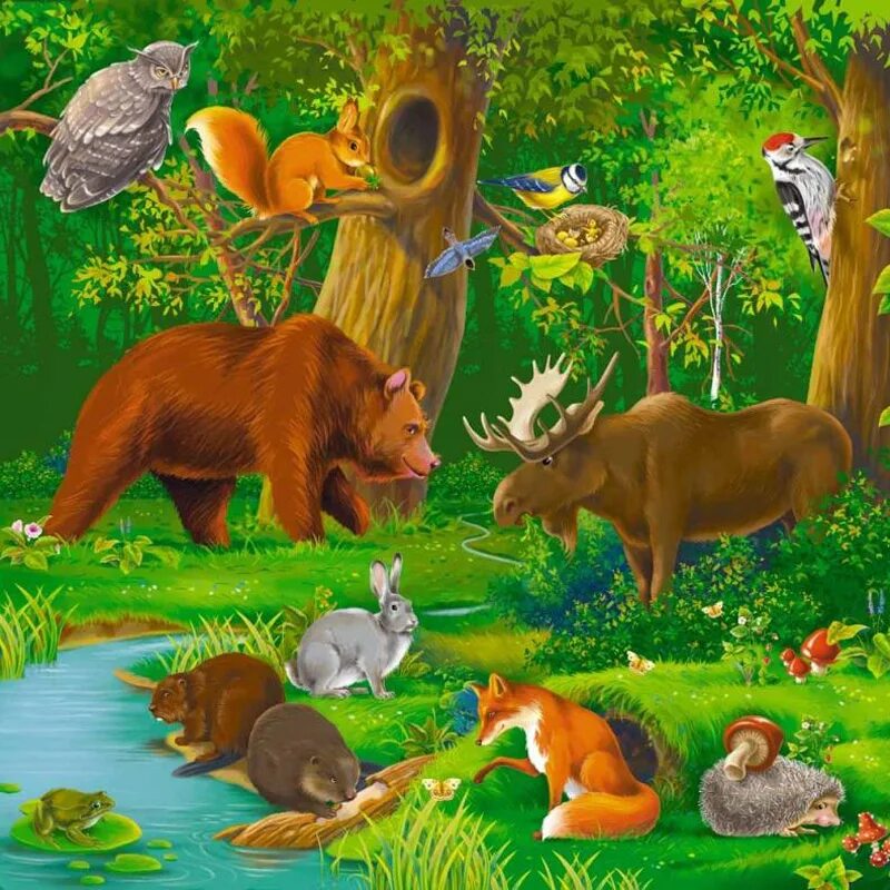 Тест животные леса. Лесные животные. Жители леса. Животные леса для детей. Лес с животными.