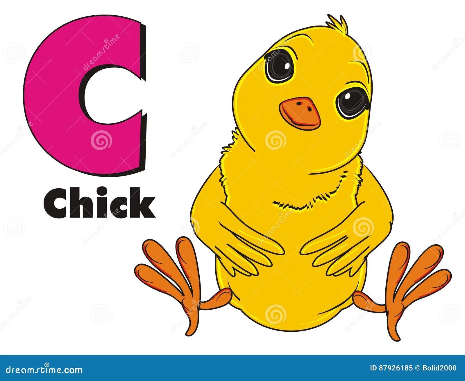 Chick английский