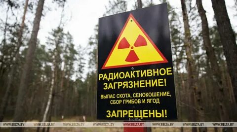 Когда закончится радиация в чернобыле
