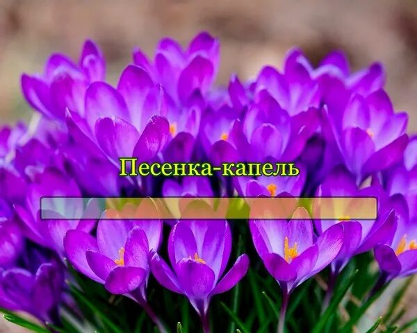 Песенка капель. Солнечная капель песня. Солнечная капель караоке. Солнечная капель песня караоке. Песенка капель слушать со словами