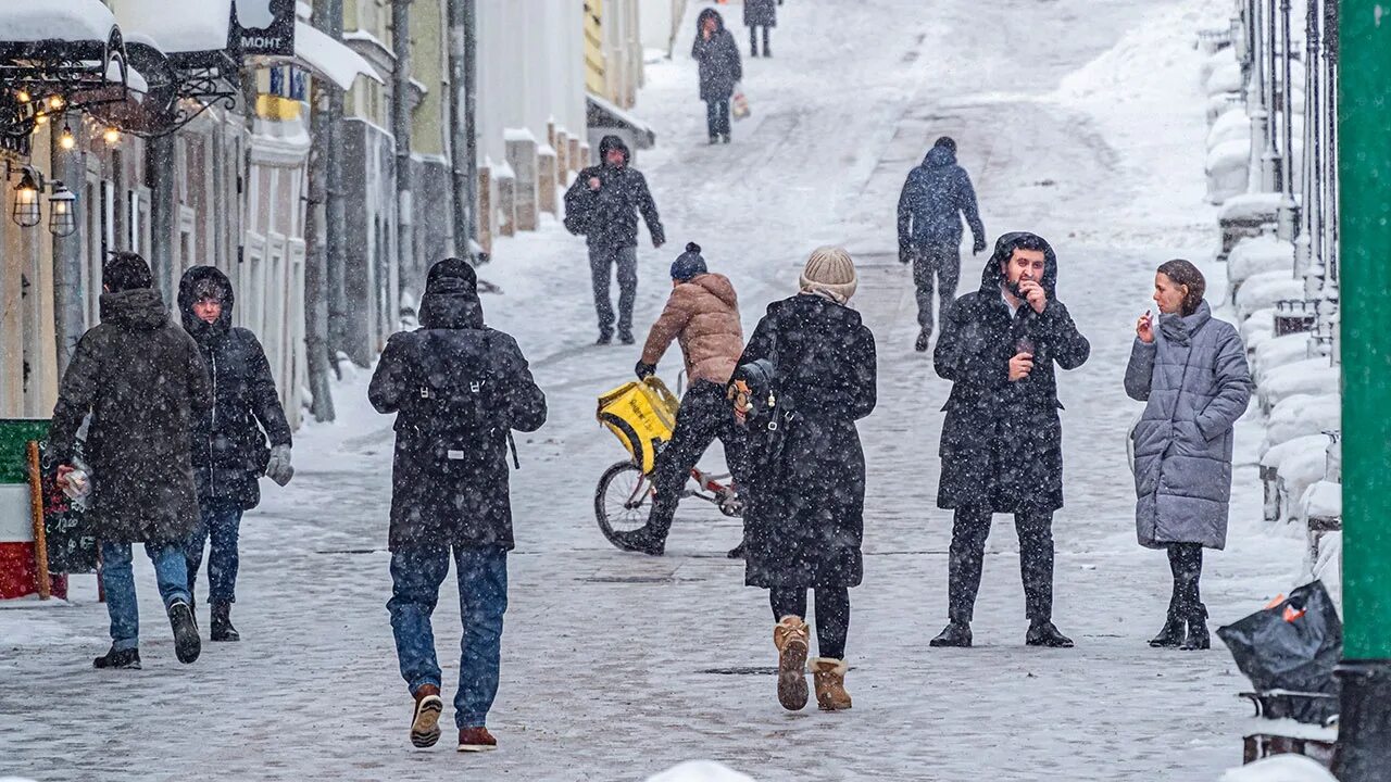 Все живое накрыло морозом. Аномальные Морозы в Москве. Аномальный холод. Аномально зимняя Пурга. Аномальные Морозы 2012.