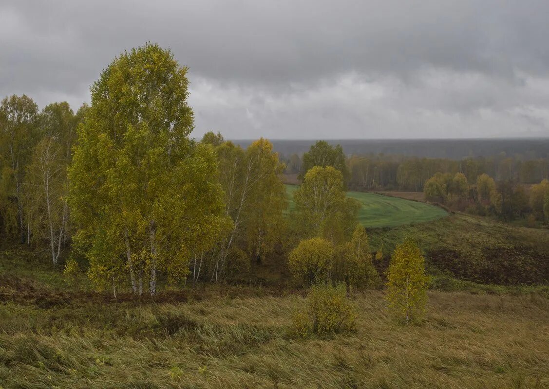 Карабинка Солтонский район. Новая Ажинка Солтонский район. Солтонский район Алтайский край. Макарьевка Солтонский район Алтайский край. Карабинка алтайский край солтонский погода