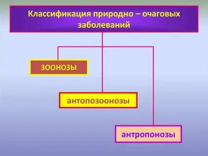 Виды природных очагов