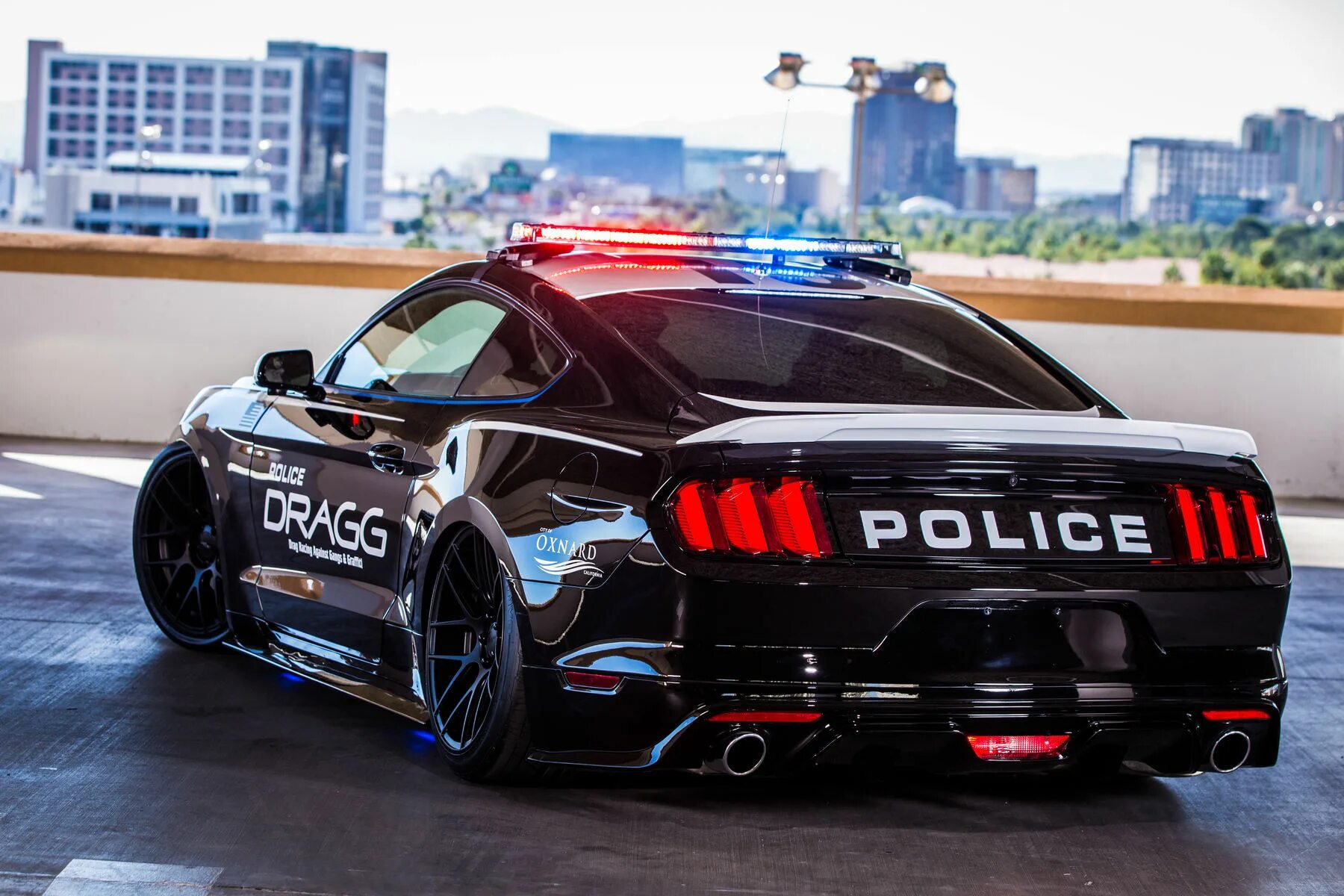 Полицейский мустанг. Ford Mustang 2015 Police. Полицейский Форд Мустанг Баррикейд. Полицейский Форд Мустанг gt. Форд Мустанг Баррикейд 2018.