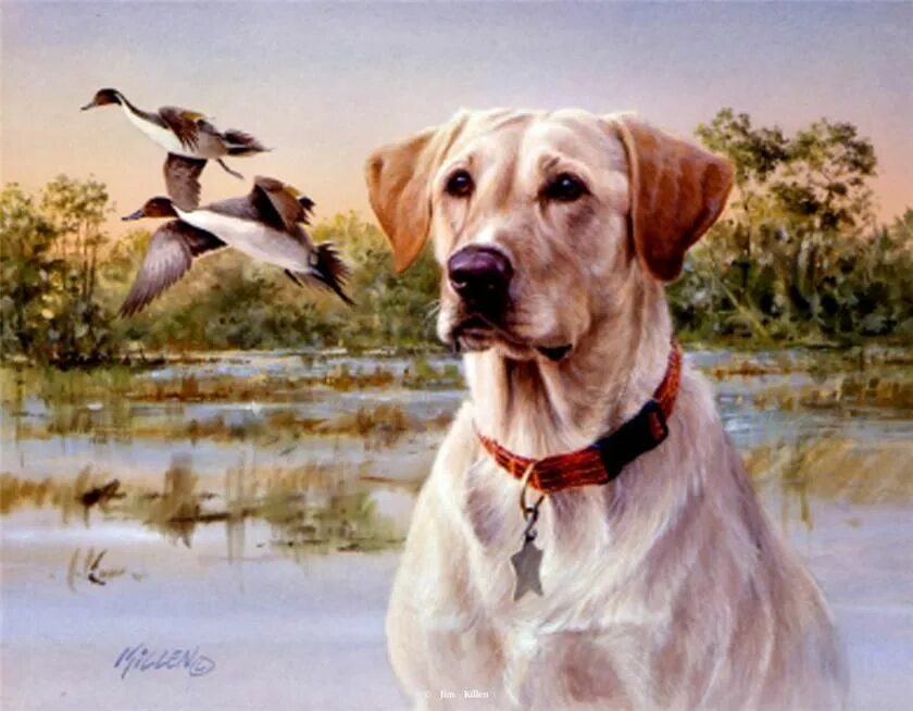 Брайтон ривьер (1840 — 1920). Джим киллен (jim killen). Джим киллен художник курцхаар. Джим киллен картины. Джим киллен картины.