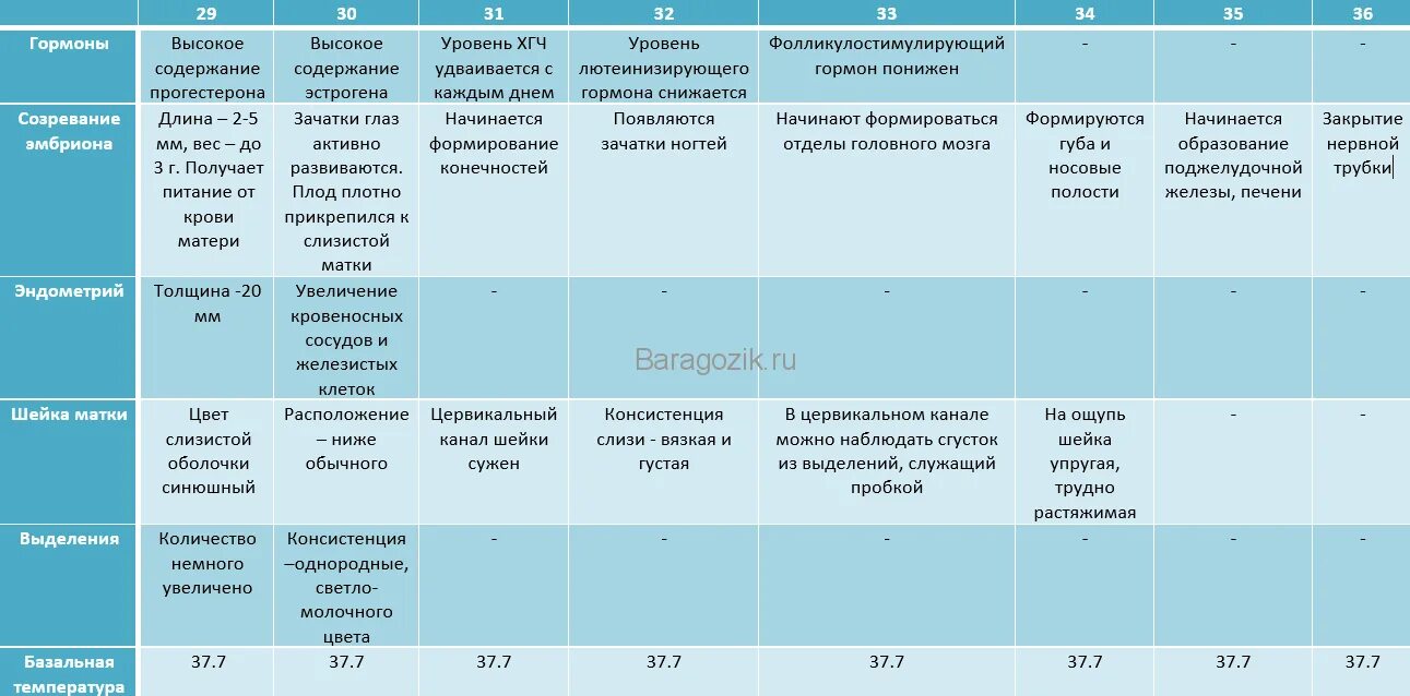 Разница акушерской недели и. Акушерская неделя и эмбриональная разница. Симптомы на 5 акушерской неделе беременности. Отличия акушерских недель.