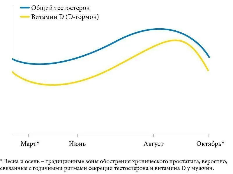 Общий уровень тестостерона. Витамин д и тестостерон. витамин д и тестостерон у мужчин. уровень витамина д и тестостерон. уровень тестостерона в течении суток.