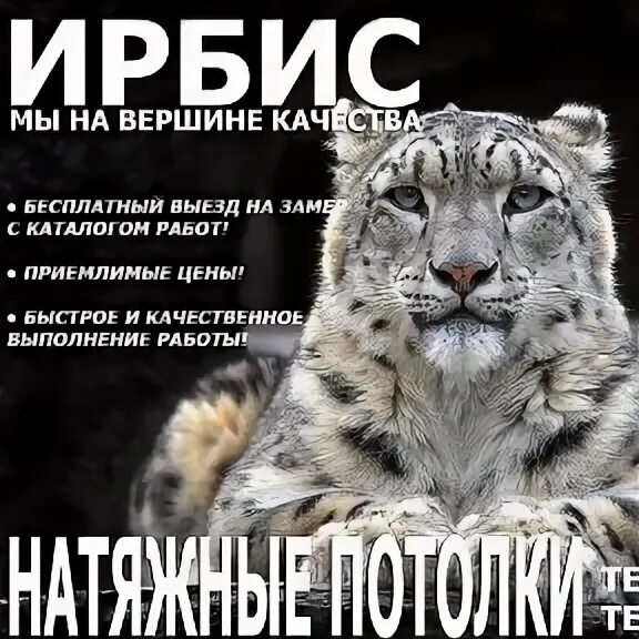 Ирбис потолок. Кассетный потолок облака. Ирбис потолок. Армстронг optima canopy. Панель виниловая потолочная перф.