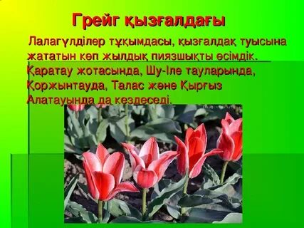 Анасы еңкейіп, ұлы оны қалайды, содан кейін көрші немесе әпкесі келді. Желідегі порно