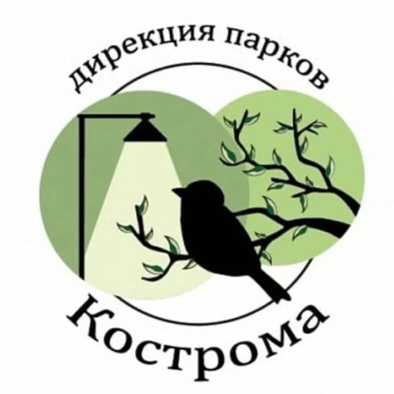 Дирекция городских парков. КГУ Кострома логотип. Дирекция парков Кострома. Дирекция парков и скверов Казани логотип. Логотип городского парка.