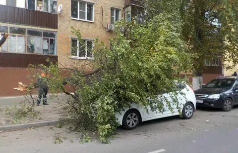 Когда уже будет ответ за курск