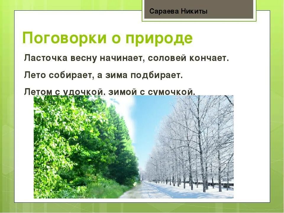 Пословицы о природе. Поговорки о природе. Пословицы и поговорки о природе. 3 Пословицы о природе. Человек природе пословица