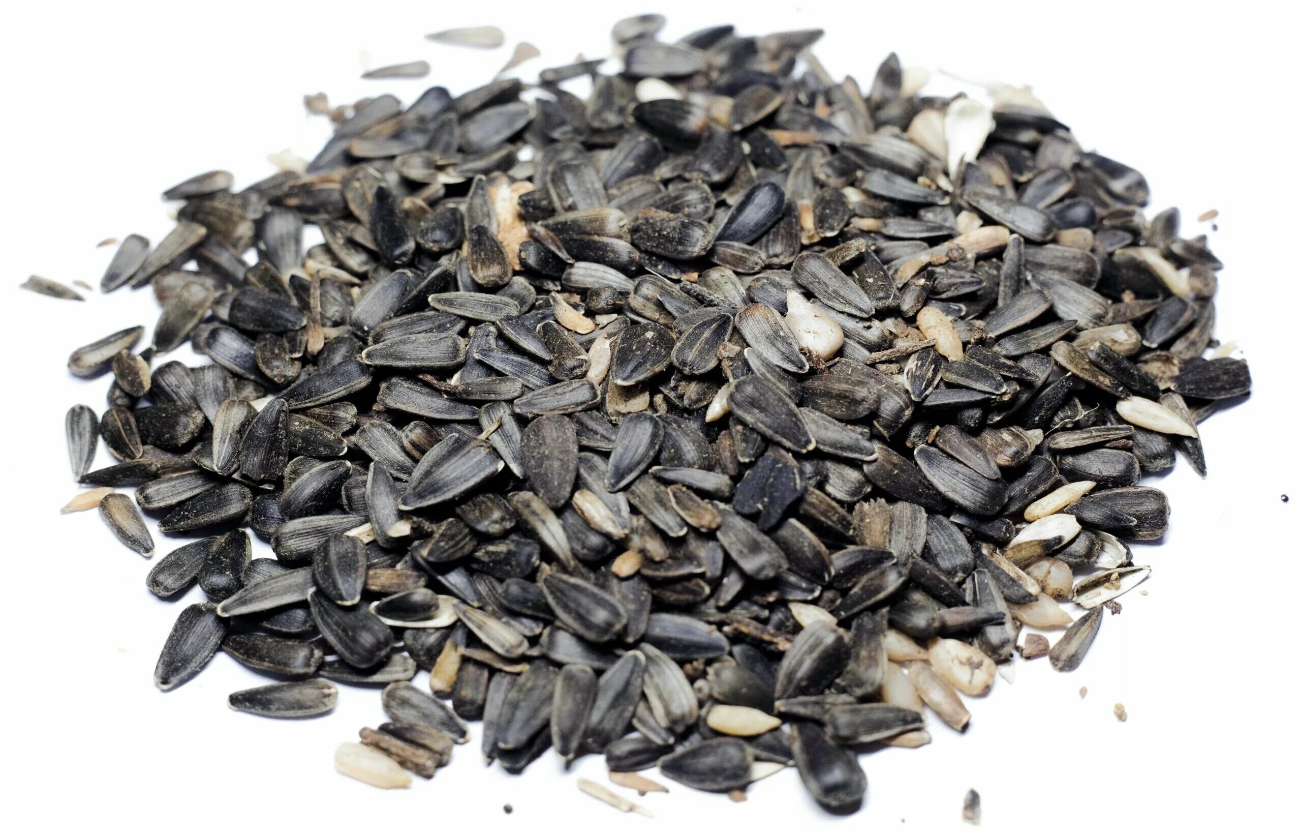 семечки фуражные. семечки подсолнечника для птиц. семена подсолнечника для птиц. семена подсолнечника -полосатые 200г (зоомир). семена подсолнечник "енисей".