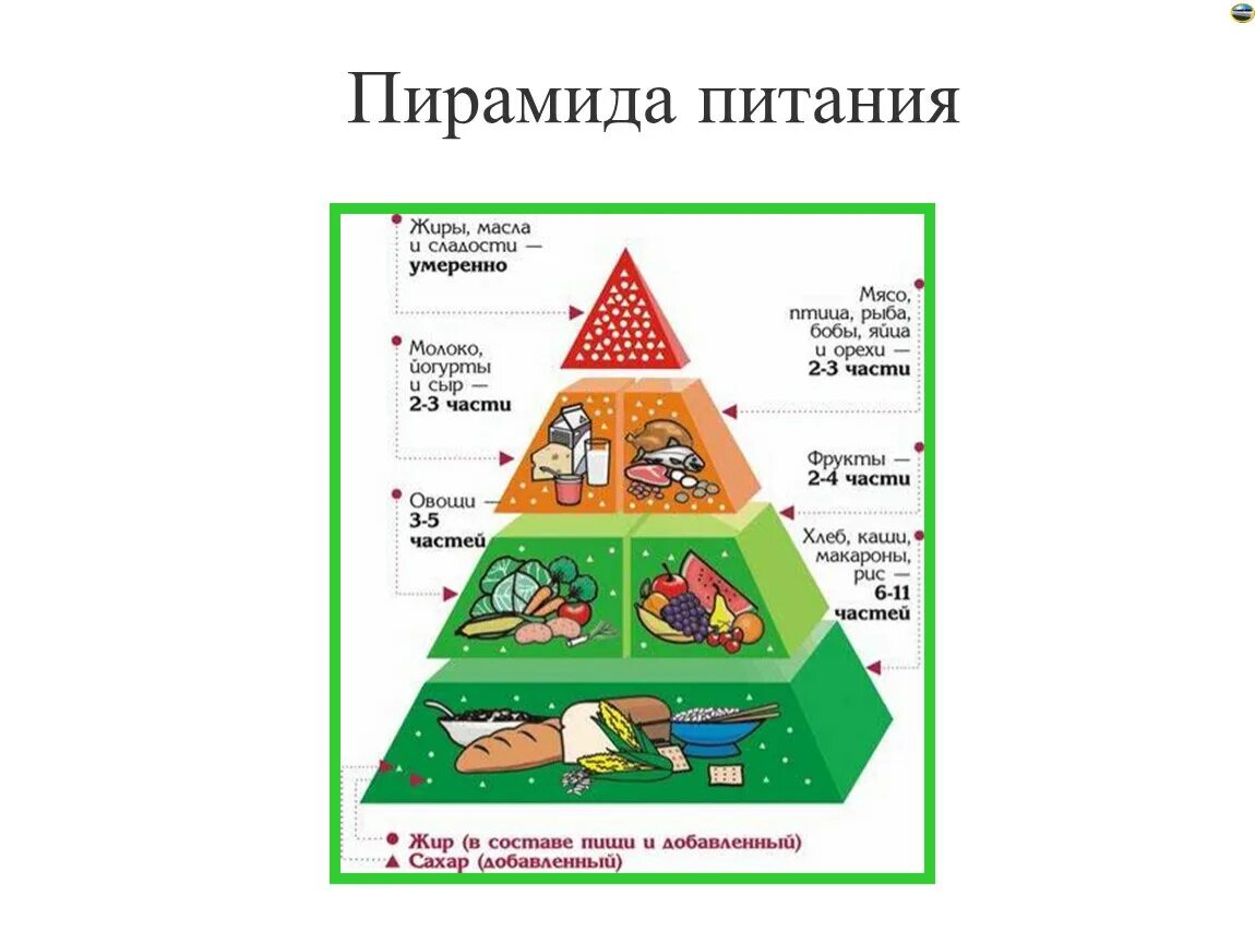 Укажите уровни пищевой пирамиды начиная с продуктов. Пирамида питания пищевая пирамида. Пирамида здорового питания. Пирамида здорового питания в картинках. Пирамида правильного питания для школьников.