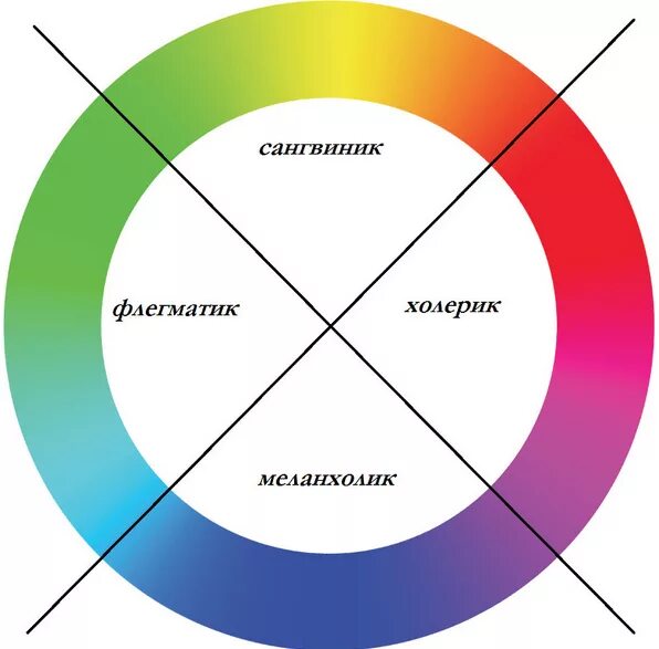 Меланхолик цвета. Сангвиник цвета. Цветовой круг психотипов. Цвет флегматика. Какой цвет должен быть 2024