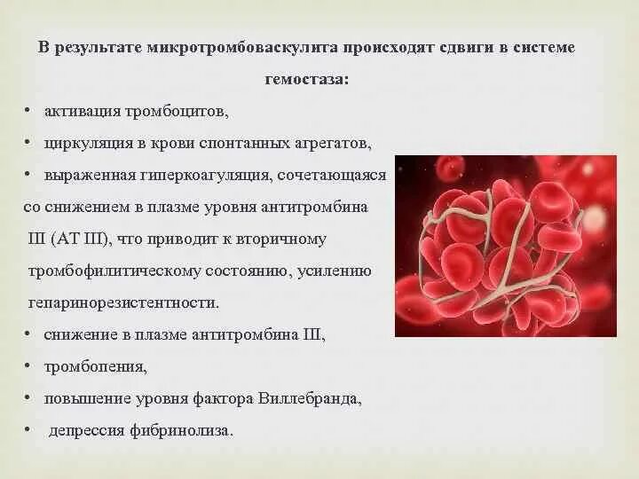 В результате смещений происходящих в. Об активации тромбоцитов свидетельствует. Болезнь Шенлейн-Геноха Верльгофа гемофилия число тромбоцитов. Изменения в свертывающей системе крови при болезни Шенлейна Геноха. Патогенез болезни Шенлейн-Геноха.