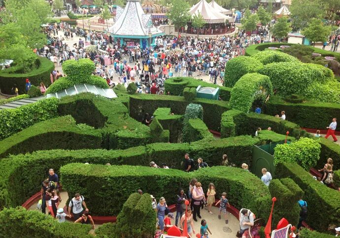 В поисках сумасшедшего шляпника. Лабиринт алисы. Лабиринт алиса в стране. Игра "лабиринт алисы. Лабиринт алисы.