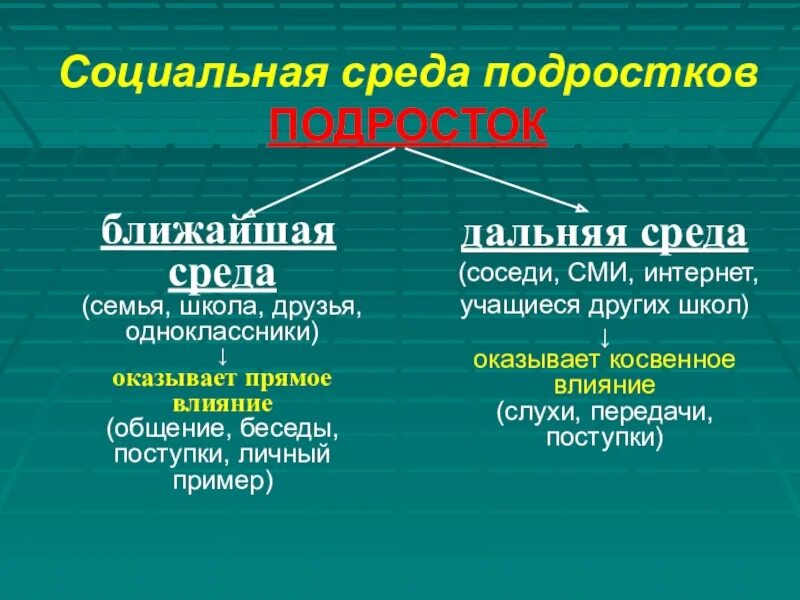 Социальное окружение примеры. Социальная среда подростка. Социальная среда подростка схема. Дальняя социальная среда. Социальная среда это в социологии.