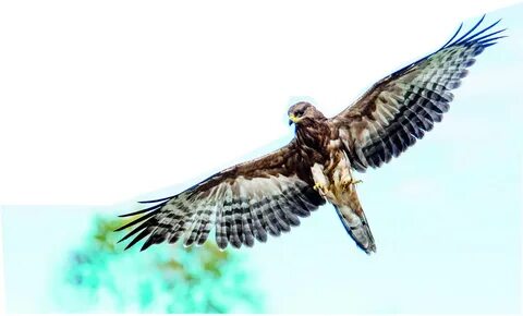 Орыс қыздармен тәжік секс