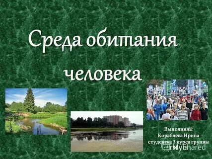 Оптимизация среды обитания