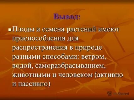 Почему семенные растения наиболее распространены