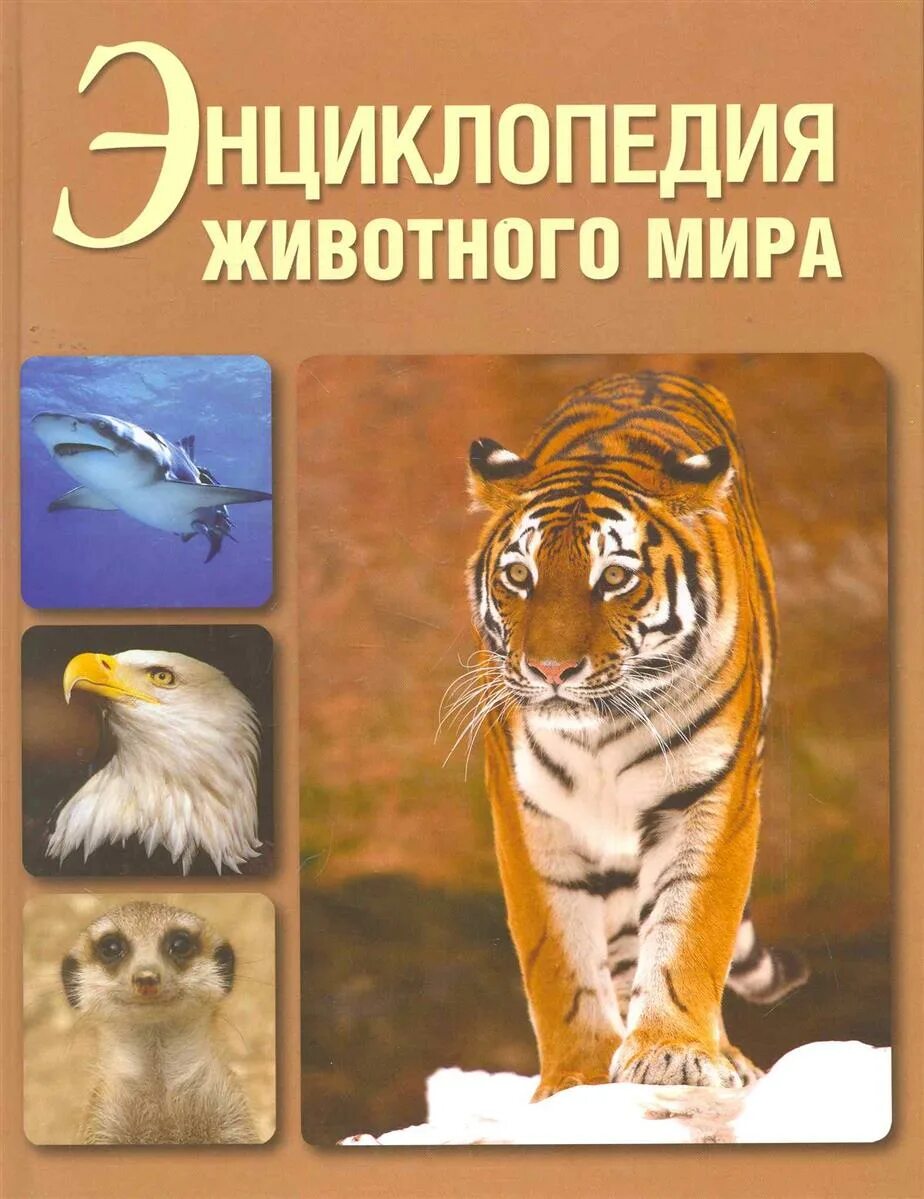 Животные и их мир книга. Энциклопедия животного мира. энциклопедия мир животных. книга животный мир. энциклопедия животные мира.