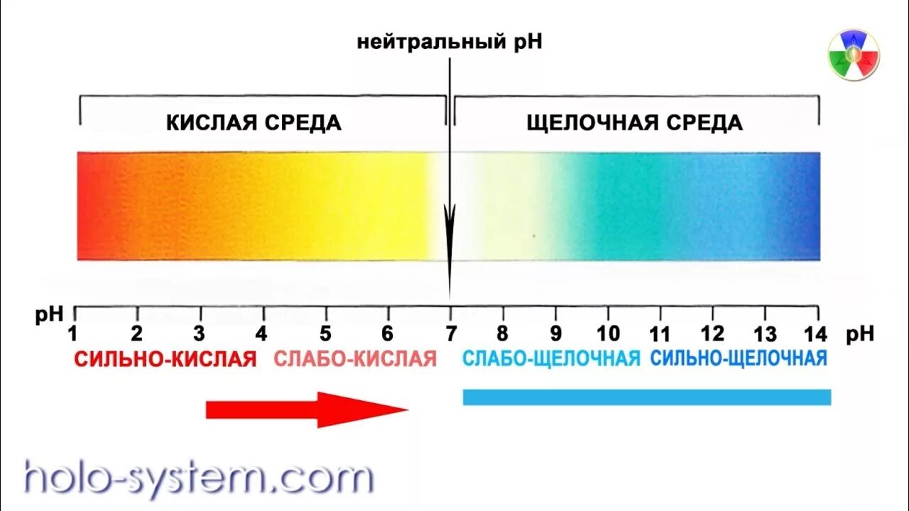 Как изменится рн. Шкала кислотности PH кожи. Кислая и щелочная среда PH. РН кислой и щелочной среды. PH кислая щелочная нейтральная.