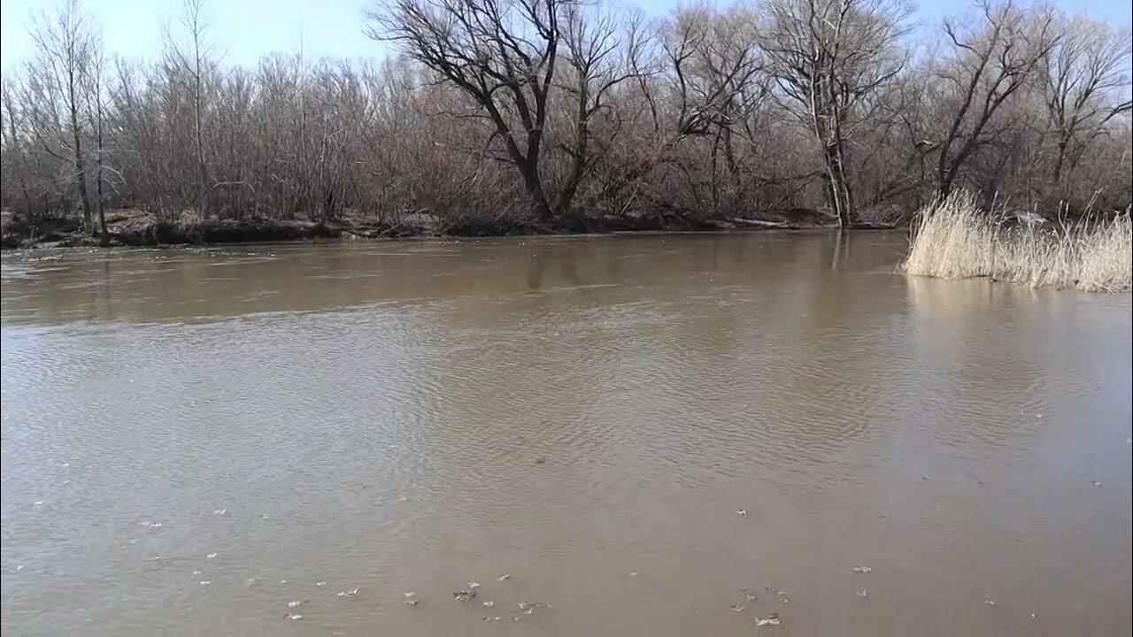 Уровень воды в реке урал