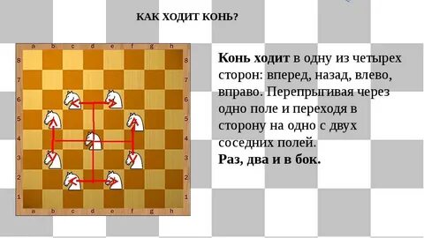 Сколько ходит конь