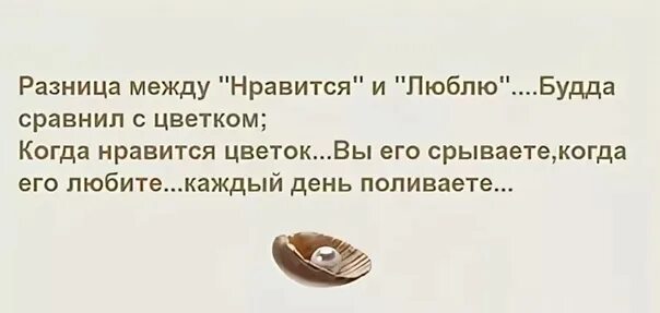 Разница между Нравится и люблю Будда. В чем разница между Нравится и люблю. Нравится или люблю в чем разница. Чем отличается слово люблю и Нравится.