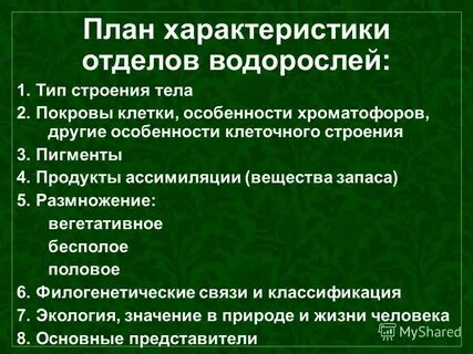 Многообразие и значение водорослей 7 класс