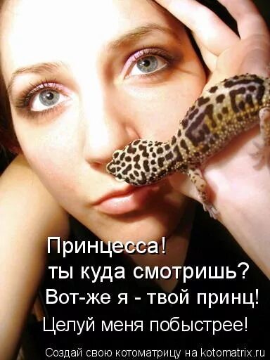 Я твоя принцесса. Я твой принц. Куда ты смотришь. Не твой принц. Буду твоим принцем