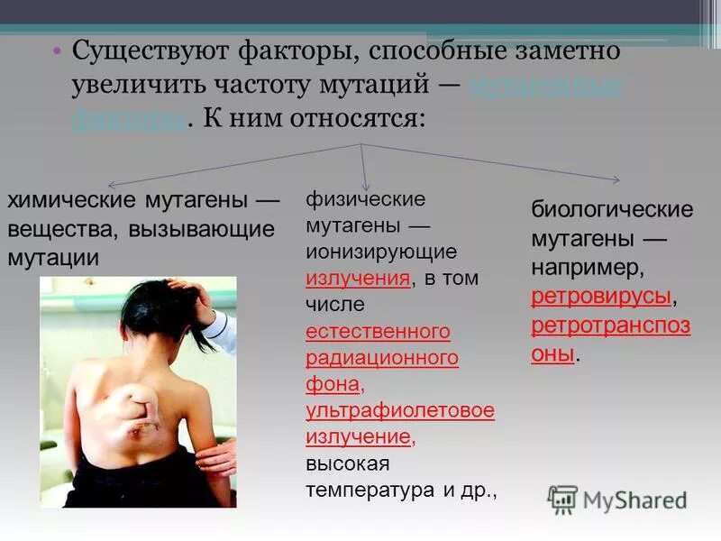 Что включают в себя факторы производства. Факторы производства схема. Виды ресурсов в экономике. Сколько существуют факторы. Сколько существуют факторы.