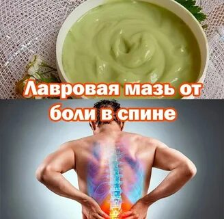Спина мазь какой лучше
